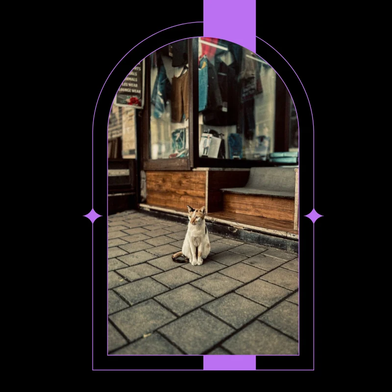 Through My Lens creative street photography shot captured by the Best Digital Marketing Analyst in Kuwait highlighting artistic perspective and composition